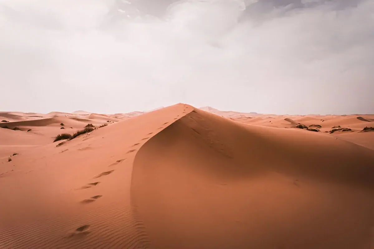 Sahara Desert