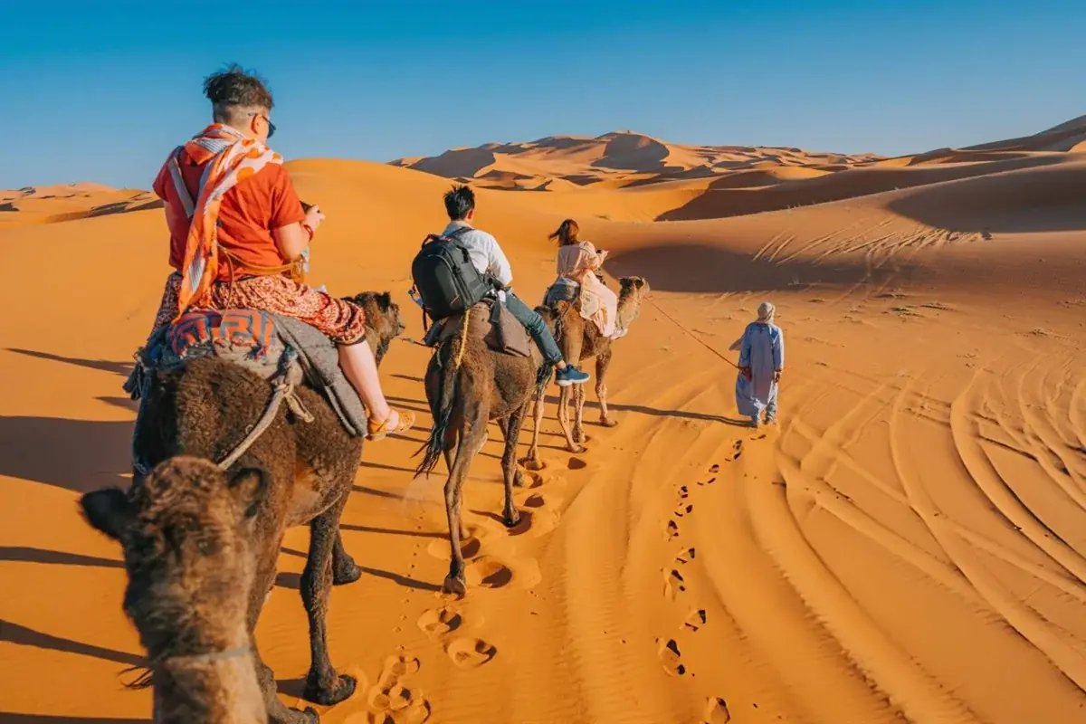 Desert Gateway: 4-Day Casablanca to Marrakech & Desert 5