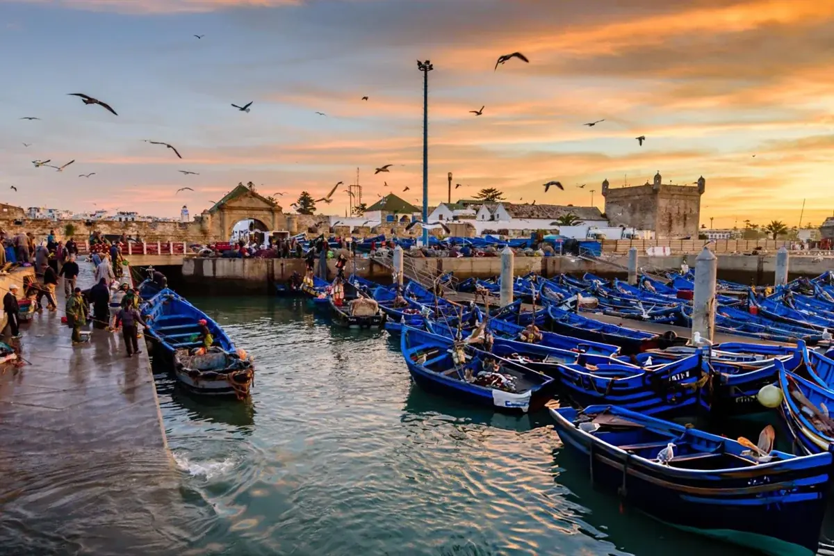 Essaouira Fishing Boats
