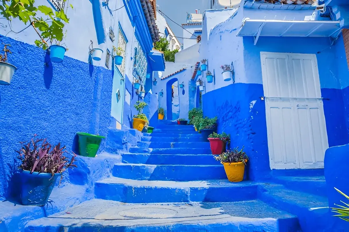 Blue Mountains: 1-Day Tangier to Chefchaouen Day Trip 3
