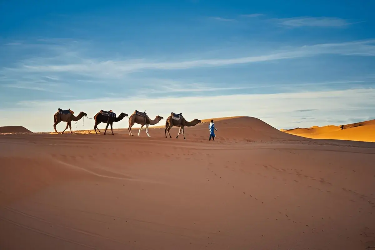 Desert Gateway: 2-Day Fes to Merzouga Desert 5