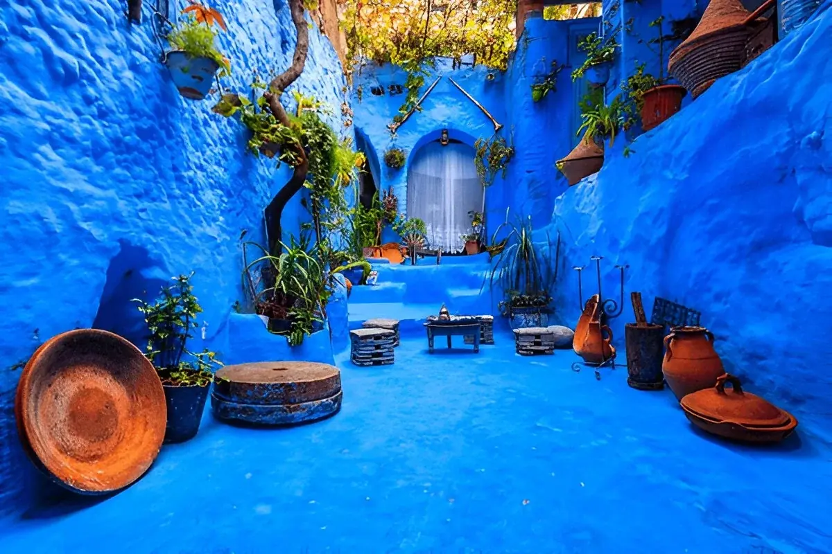 Blue Mountains: 1-Day Tangier to Chefchaouen Day Trip 4