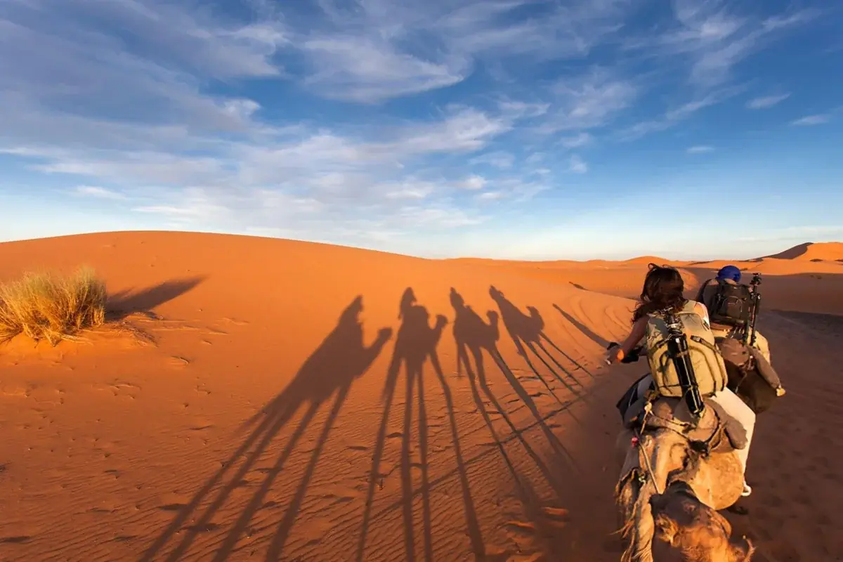 Alpine Morocco: 1-Day Middle Atlas & Ifrane Day Trip