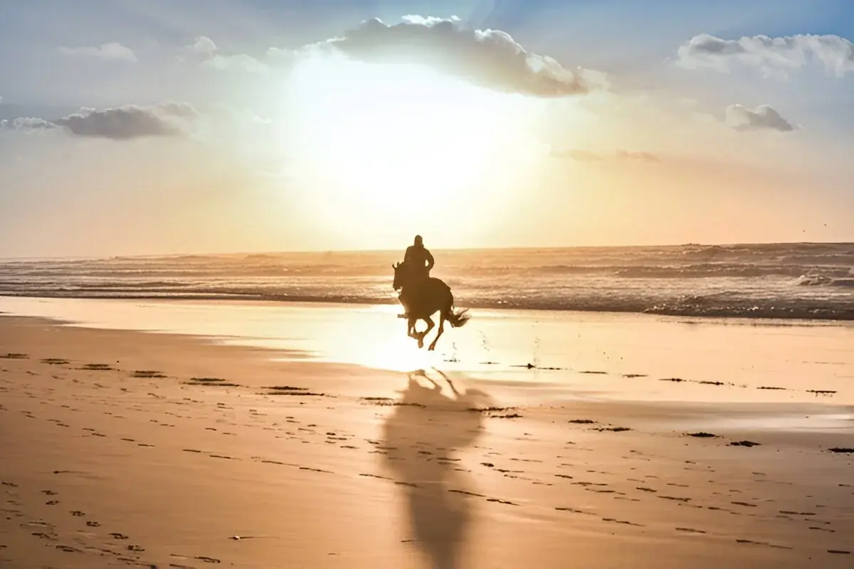 Royal Route: 3-Day Casablanca to Fes via Rabat 1