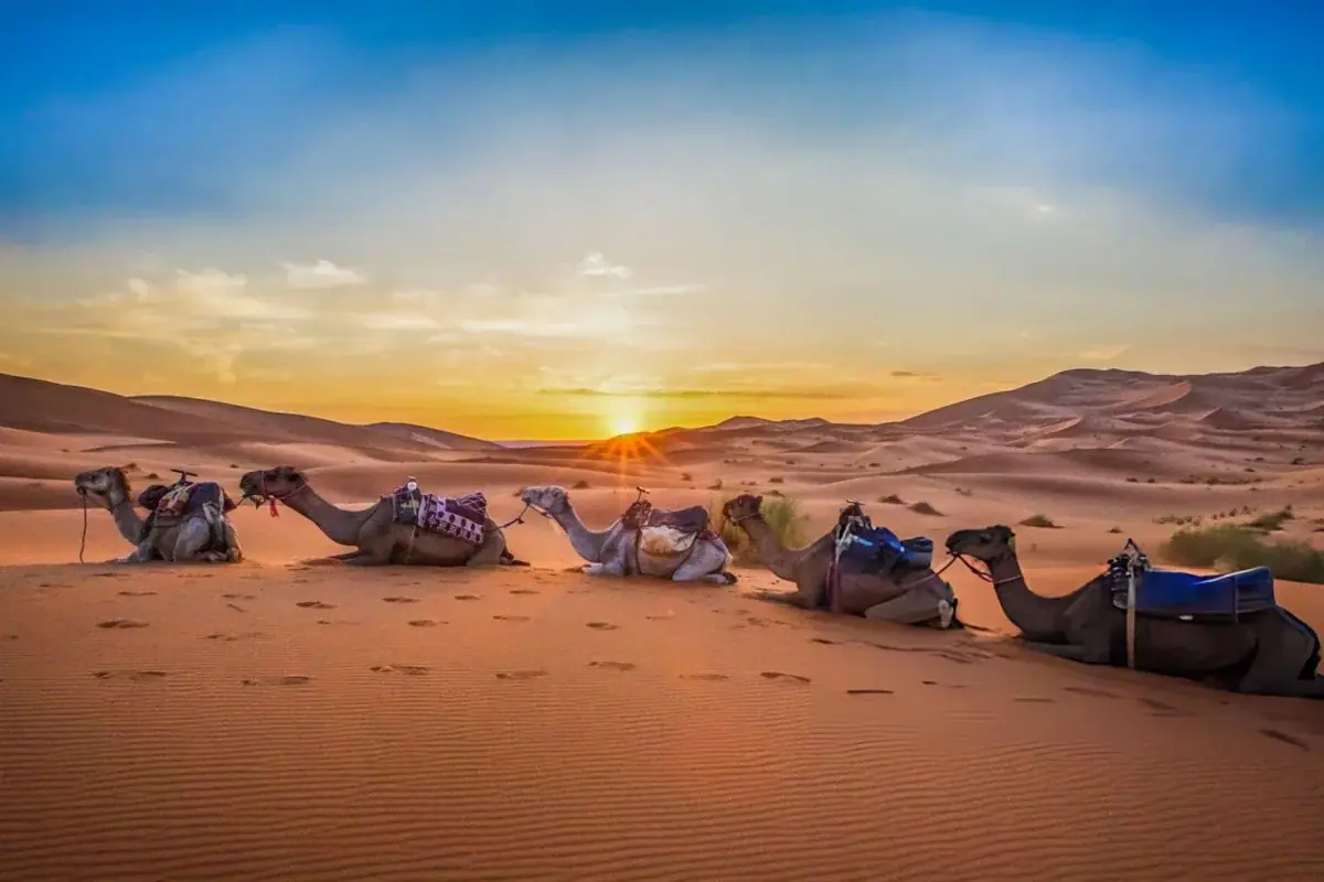 Merzouga