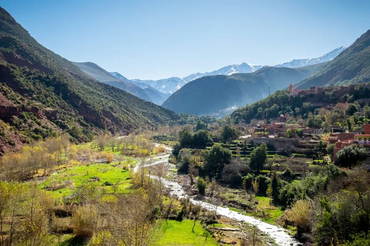 Mountain Majesty: 1-Day Atlas Mountains & Ourika Valley Adventure 1