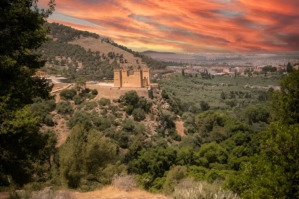 Alpine Morocco: 1-Day Middle Atlas & Ifrane Day Trip 3