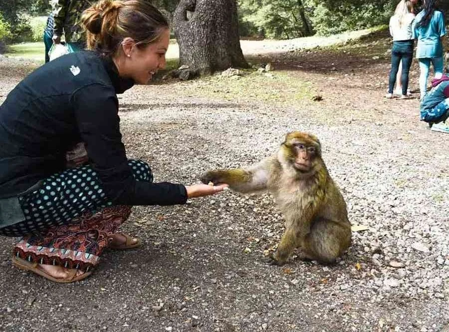 Marrakech-To-Fes-Desert-Tour-3-Days-10