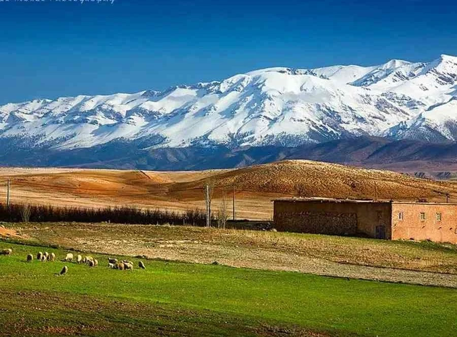 Marrakech-To-Fes-Desert-Tour-3-Days-8