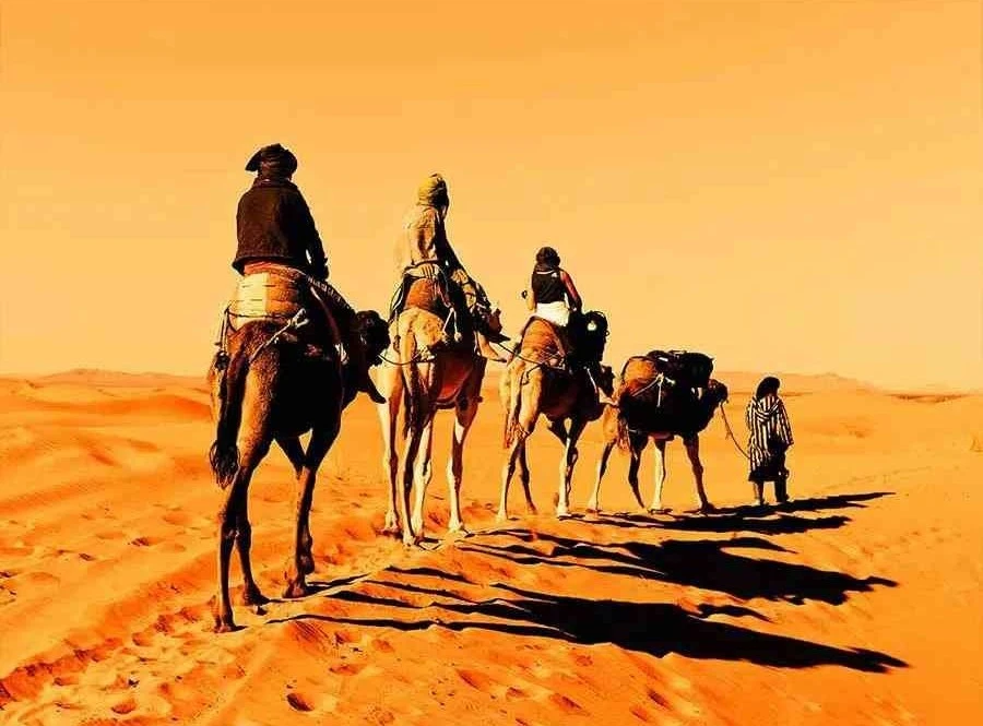 Marrakech-To-Fes-Desert-Tour-3-Days-9